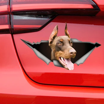 Коричневая собака Доберман 3D наклейка Забавная Автомобильная наклейка Водонепроницаемые авто декоры на бампер заднее стекло ноутбука Выберите размер #S60469 Изображение 2