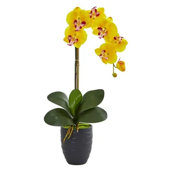Великолепный 22,5 дюйма. Искусственная орхидея Фаленопсис в элегантной черной керамической вазе Ярко-желтого цвета