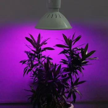 200 Светодиодных ламп для выращивания цветов E27, лампа для выращивания растений, лампы для систем гидропоники, теплица для овощей в помещении, палатка, коробка Изображение 2