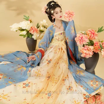Женские китайские традиционные платья Xinhua Hanfu, Косплей-костюм с вышивкой Династии Тан с большими рукавами для взрослых, Весна-осень Изображение 2