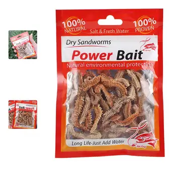1 Пакет сухих песчаных червей, рыболовная приманка, экологически чистые сушеные черви для отдыха, 10 г