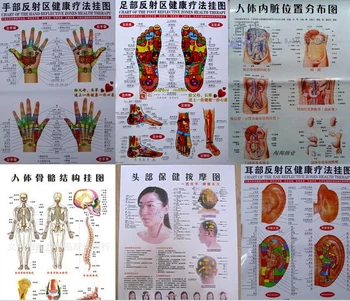 10 шт Утилизация медицинской настенной диаграммы для акупунктуры человека диаграмма для ног, рук, головы, уха, диаграмма меридианов для акупунктуры