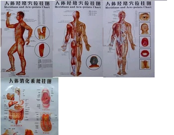 10 шт Утилизация медицинской настенной диаграммы для акупунктуры человека диаграмма для ног, рук, головы, уха, диаграмма меридианов для акупунктуры Изображение 2
