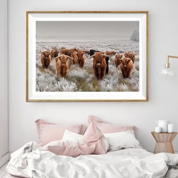 Cuadro Highland Cattle Cow Art Print Плакаты и принты с животными, Декор стен, Современные фотографии для гостиной, для украшения гостиной