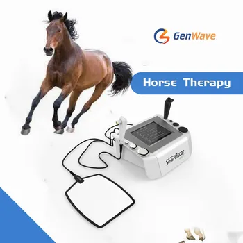Аппарат для диатермии лошадей Tecar Therapy CET RET RF Reabilitator Терапевт для домашних животных Лошадей Собаки Кошки