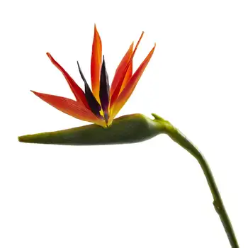 Большая птица из искусственного цветка (набор из 4 штук), Оранжевые гавайские аксессуары, Эвкалиптовая гирлянда из зелени, Мини-венок Leis hawaii nec Изображение 2